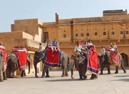 Elephants at the entrance of Amer Fort